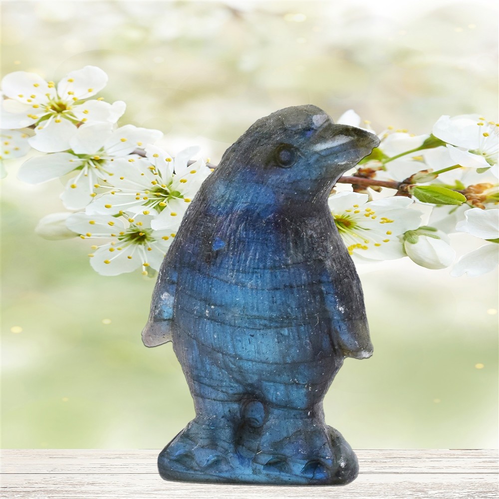 Cani, delfini, elefanti e altri animali | grossista gemme e pietre curative