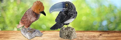 Bird engravings | Marco Schreier wholesale suppliers - gems, stones & jewelry
