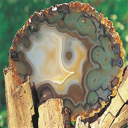 Agate Tranches et Agate Géodes | Marco Schreier