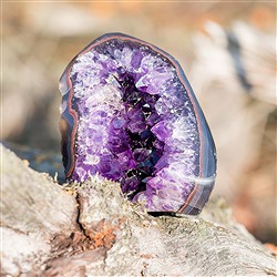 Améthyste (Touffes, pointes, morceaux) | Marco Schreier