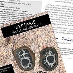 Minéraux avec certificat à Pouch | Marco Schreier