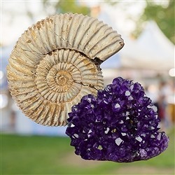 Des pierres pr&#xE9;cieuses pour les mus&#xE9;es et les parcs d&#x27;attractions