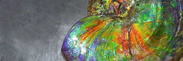 Pietre preziose per musei e parchi a tema | grossista gemme e pietre curative