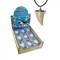 Espositori da tavolo economici con minerali | grossista gemme e pietre curative