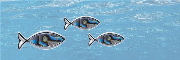 Bracelets & broches avec Abalone Paua | Marco Schreier