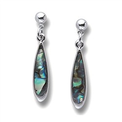 Gioielli per orecchio con Conchiglia Paua | grossista gemme e pietre curative