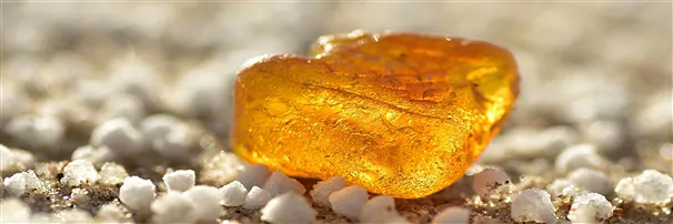 Kopal, Bernstein | Schreier Mineralienhandlung Edelsteine, Heilsteine & Schmuck