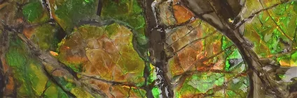 Ammolite polished pieces One of a kind | Schreier gems, healing stones & jewelry