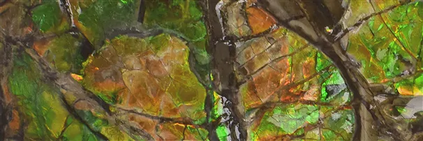 Tallas únicas de Ammolita | piedras preciosas, piedras curativas y joyería