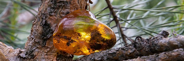 Amber Tumbled Stones & One side polished pieces | gems, healing stones & jewelry