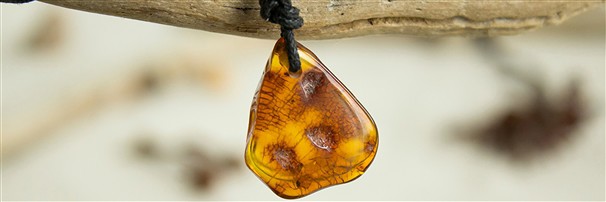 Drilled Amber and Donuts Amber | minerals trade - gems, healing stones & jewelry