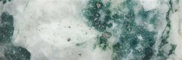 Tree Agate | Marco Schreier wholesale suppliers - gems, healing stones & jewelry
