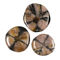 Chiastolite (pietra trasversale) | Gemme Schreier, pietre curative e gioielli