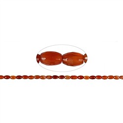 Fili di catena in corniola | gemme, pietre curative e gioielli all'ingrosso