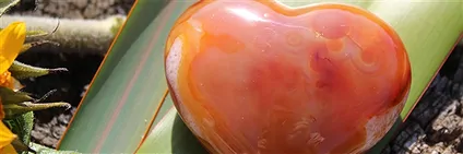 Cadeaux et articles polis Cornaline | Marco Schreier