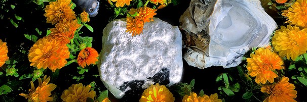 Silex (beige marron) | Pierres précieuses, pierres thérapeutiques & bijoux