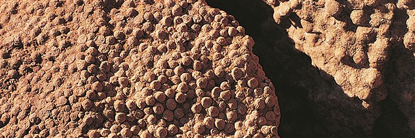 Calcaire oolithique | Pierres pr&#xE9;cieuses, pierres th&#xE9;rapeutiques &amp; bijoux