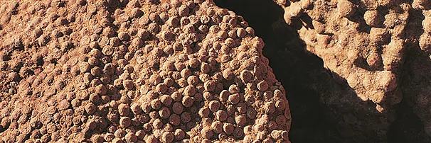 Calcaire oolithique | Pierres précieuses, pierres thérapeutiques & bijoux