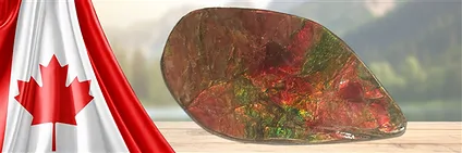 Ammolite (St. Mary River) | Schreier - wholesaler gems, healing stones & jewelry