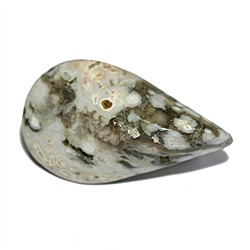 Ocean Jasper | Marco Schreier wholesale suppliers - gems, stones & jewelry