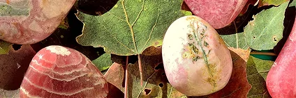Pierres roulées, Pièces polies d'un côté Rhodochrosite | Marco Schreier
