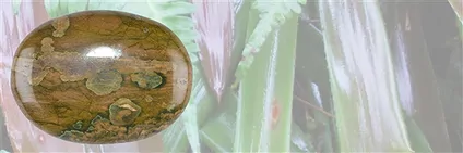 Artículos pulidos Riolita | piedras preciosas, piedras curativas y joyería