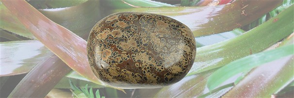 Pietra burattata | Schreier fornitori all'ingrosso - pietre preziose e curative