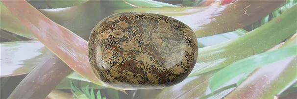Tumbled Stone Rhyolite | wholesaler - gems, precious & healing stones, jewelry