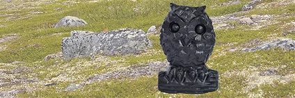 Formen und Gravuren aus Schungit | Großhändler Edelsteine, Heilsteine & Schmuck