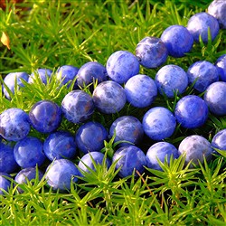 Cadenas de sodalita | Schreier piedras preciosas, piedras curativas y joyería