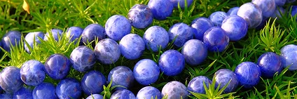 Chaînes en Sodalite | Pierres précieuses, pierres thérapeutiques & bijoux