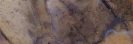 Fluorite opal (Tiffany Stone) | minerals trade - gems, healing stones & jewelry