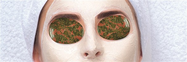 Polished, Gifts, Wellness | Schreier - wholesaler gems, healing stones & jewelry