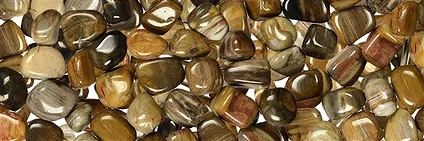 Trommelsteine versteinertes Holz | Großhändler Edelsteine, Heilsteine & Schmuck