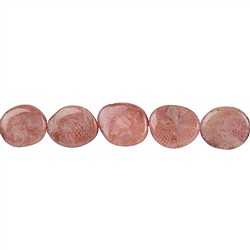 drilled shapes, donuts, strands of coral | wholesaler gems & healing stones