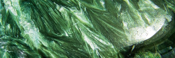 Joyas con serafinita | Schreier piedras preciosas, piedras curativas y joyería