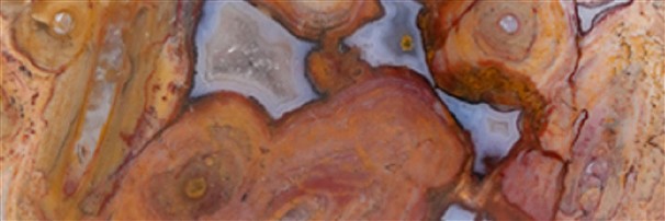 Jewelry with Petrified Palm Wood | wholesaler gems, healing stones & jewelry