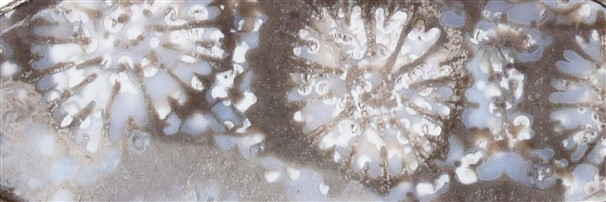 Schmuck mit versteinerter Koralle | Großhändler Edelsteine, Heilsteine & Schmuck