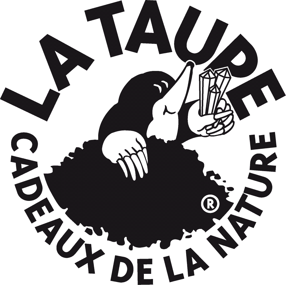 fr_le_taupe