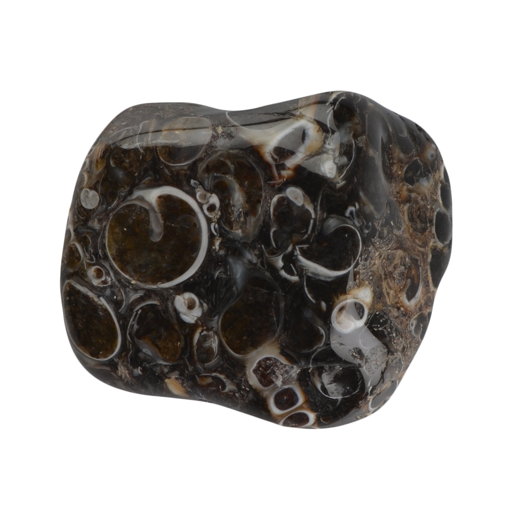Tumbled Stones Agate (Turitella Agate), 2,5 - 4,0cm (XL)