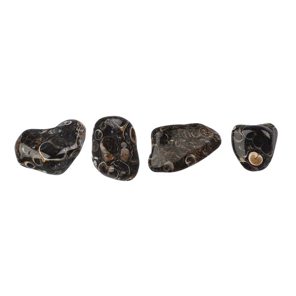 Tumbled Stones Agate (Turritella Agate), 1,0 - 2,0cm (S)