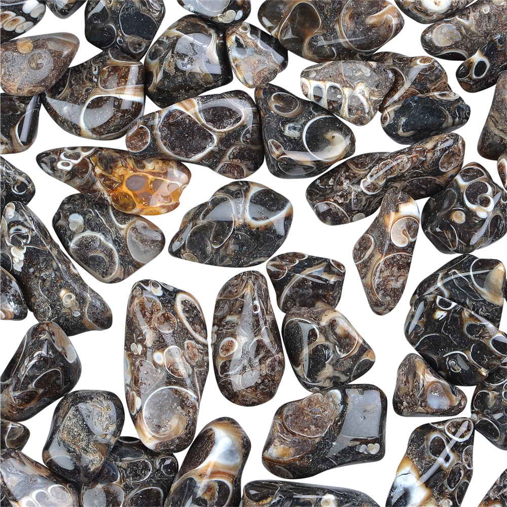 Tumbled Stones Agate (Turitella Agate), 1,0 - 2,0cm (B1)