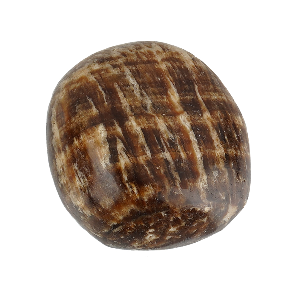 Pietra burattata aragonite (marrone), 2,7 - 3,2 cm (XL)