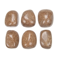 Tumbled Stones Aragonite (Oak Mountain), 2,2 - 2,7cm (L)