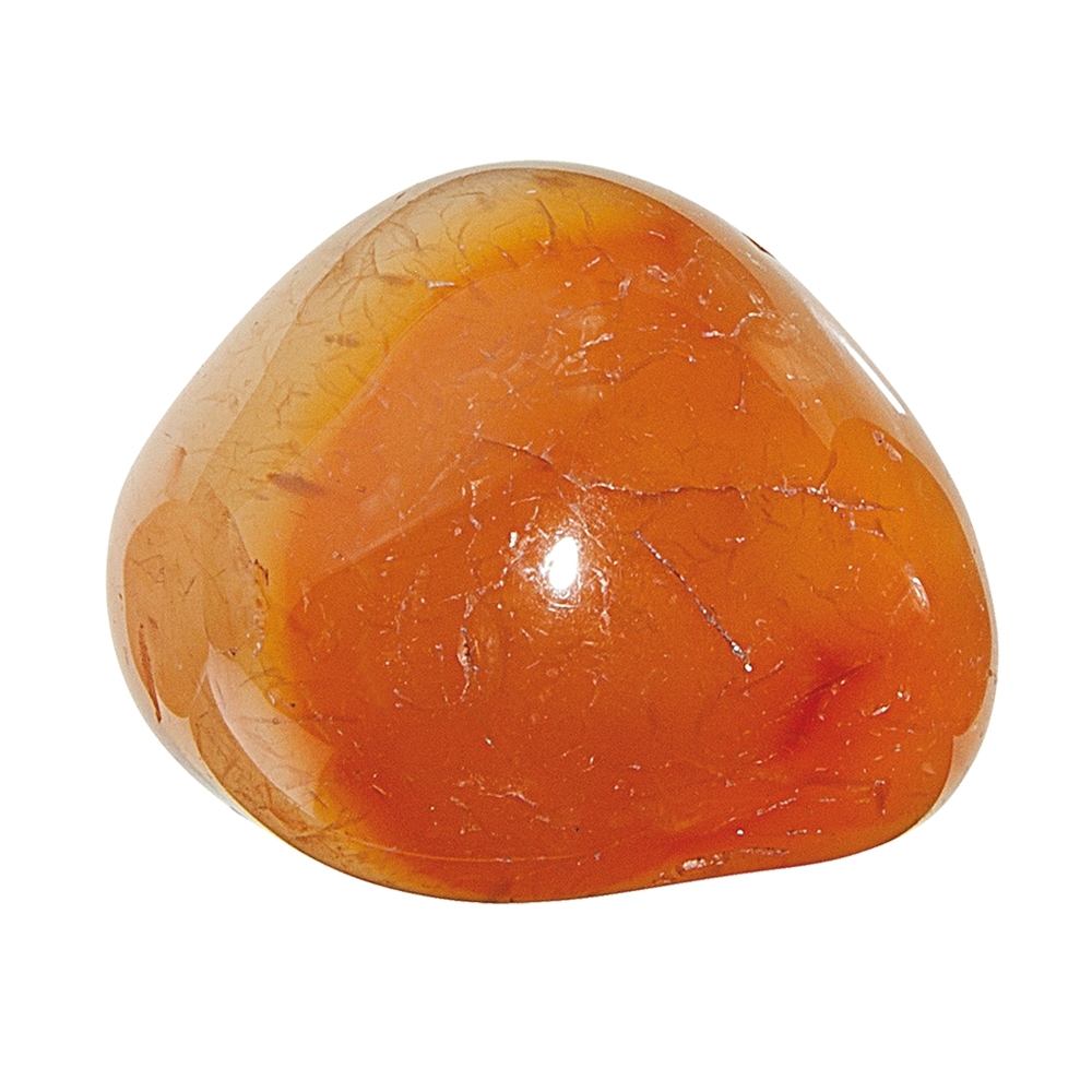 Tumbled Stones Carnelian, 3,0 - 4,0cm (XL) | wholesaler gems & healing stones
