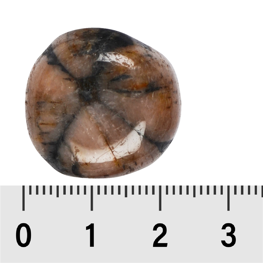 Pierre roulée Chiastolite (Andalousite), 2,0 - 2,5cm (L)