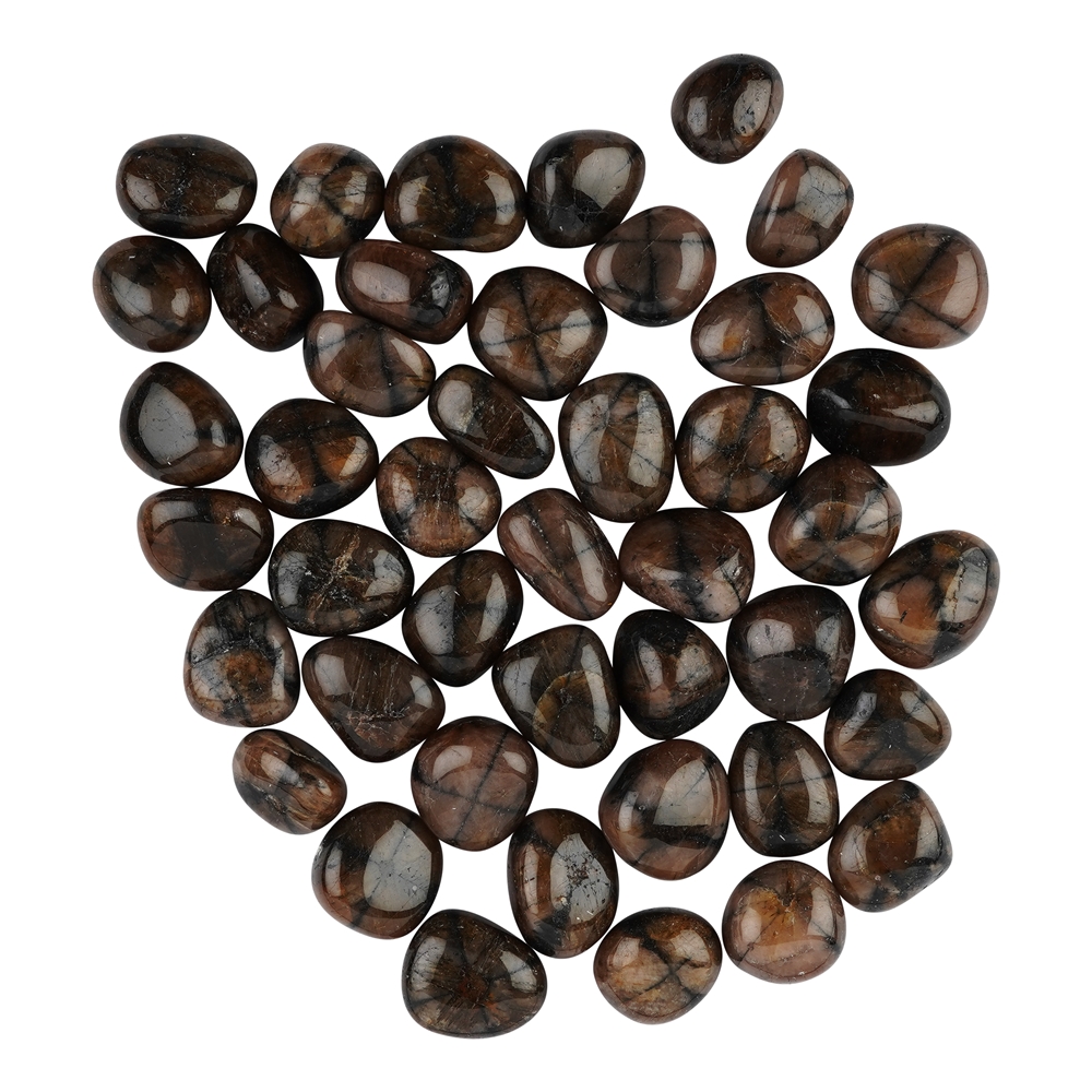 Pietra burattata chiastolite (andalusite), 2,0 - 2,5 cm (L)