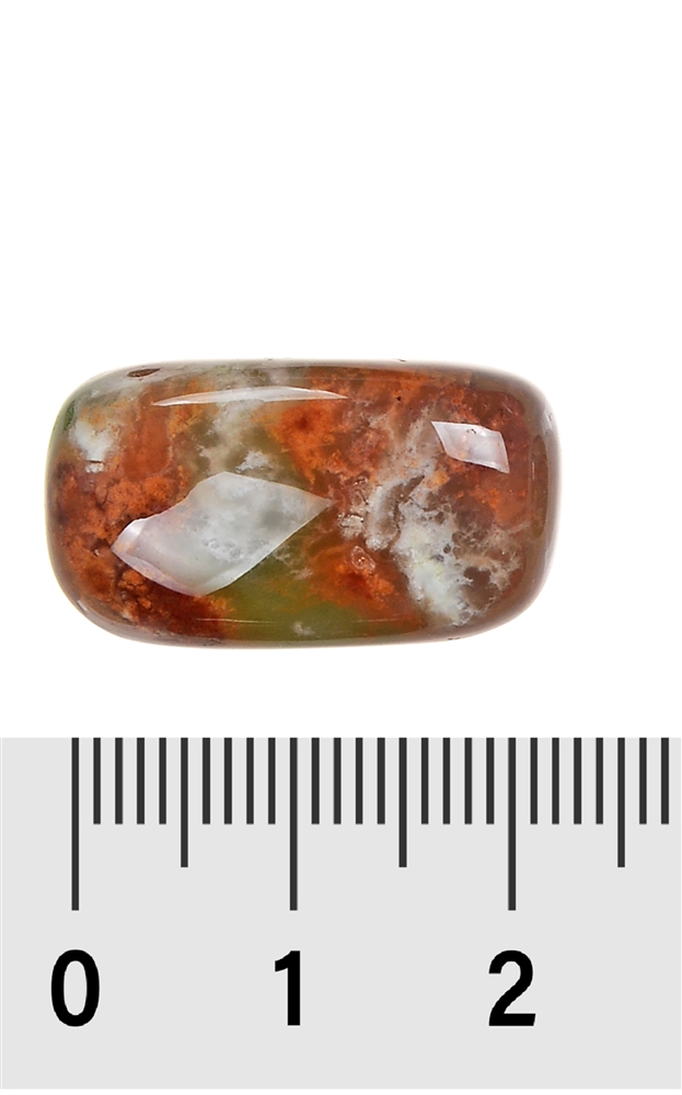 Pierre roulée Chrysoprase, 1,8 - 2,1cm (M)