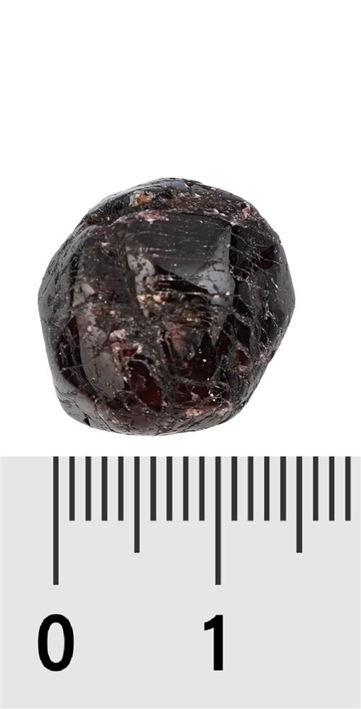 Pierre roulée Grenat (cristaux polis), 1,0 - 2,0cm (S)