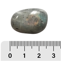 Pierre roulée Labradorite, 2,2 - 2,7cm (L)